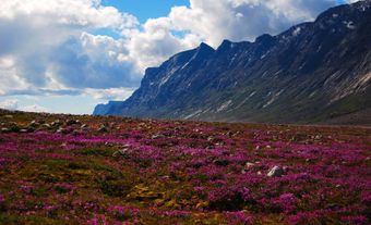 Auyuittuq National Park